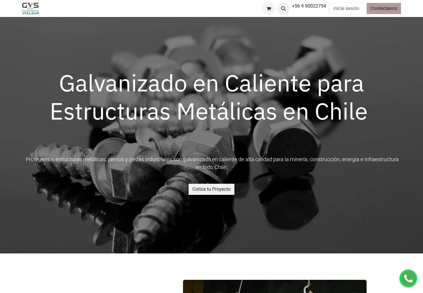 Captura del sitio web de GVS